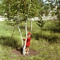 Марина Костенко