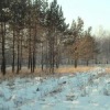 Маргарита Быструшкина