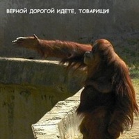 Андрей Демченко