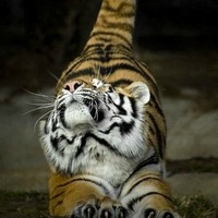 Иван Иванов