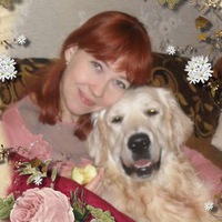 Елена Илюшкина