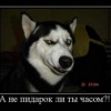 Филип Овчаркин