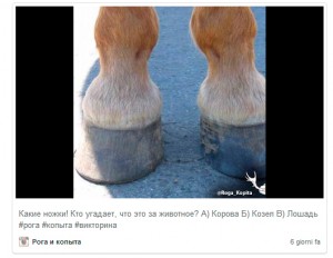 привлечь фолловеров instagram