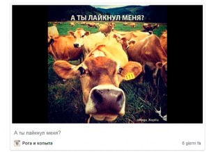 привлечь фолловеров instagram