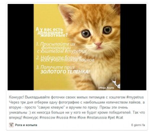 привлечь фолловеров instagram