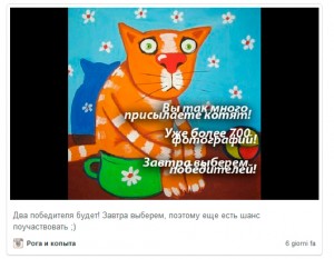 привлечь фолловеров instagram