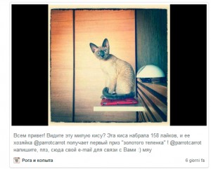 привлечь фолловеров instagram