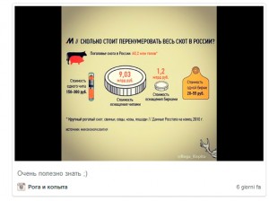 привлечь фолловеров instagram